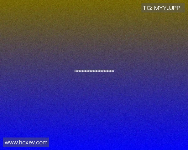 篮球全能明星闪耀登场精彩瞬间回顾与赛场魅力全景展示